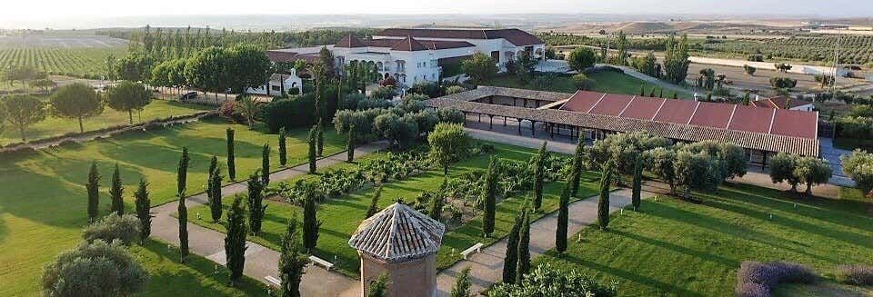 Visite des caves et vignobles de la Casa del Valle