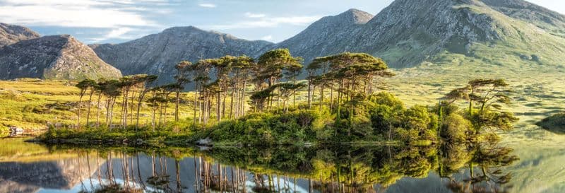 Billet Visite de la Côte sauvage d'Irlande et du Connemara