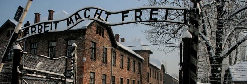 Billet Offre : Auschwitz + Mine de Sel en une journée