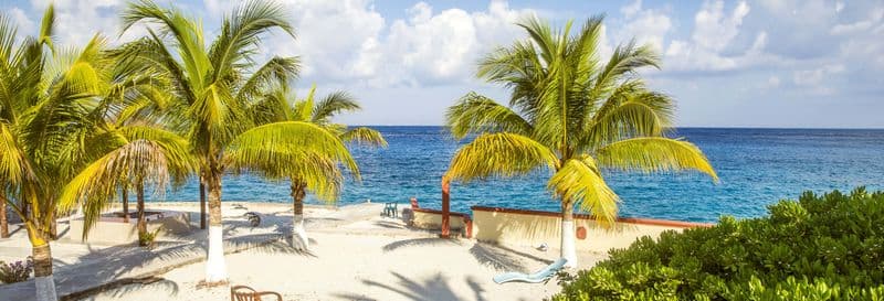 Billet Excursion à Cozumel