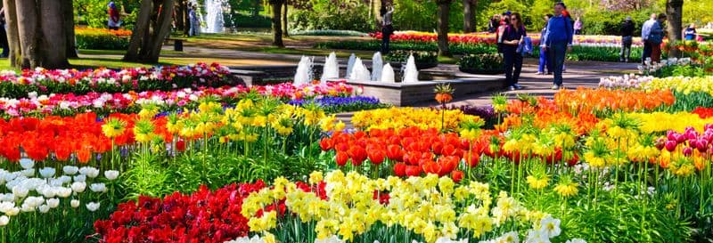 Billet Bus pour Keukenhof, billet inclus