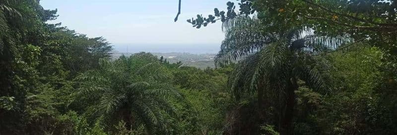 Billet Visite dans La Asunción + Randonnée dans La Sierra