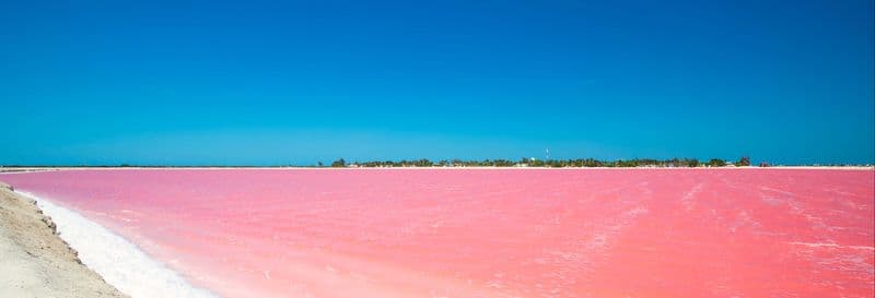 Billet Excursion à Las Coloradas et Río Lagartos