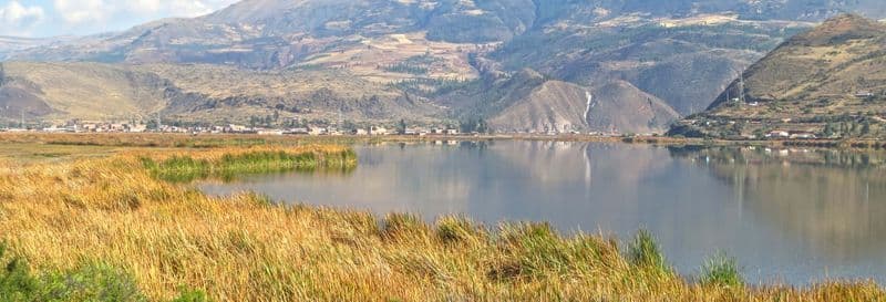 Observation d'oiseaux à la lagune de Huacarpay