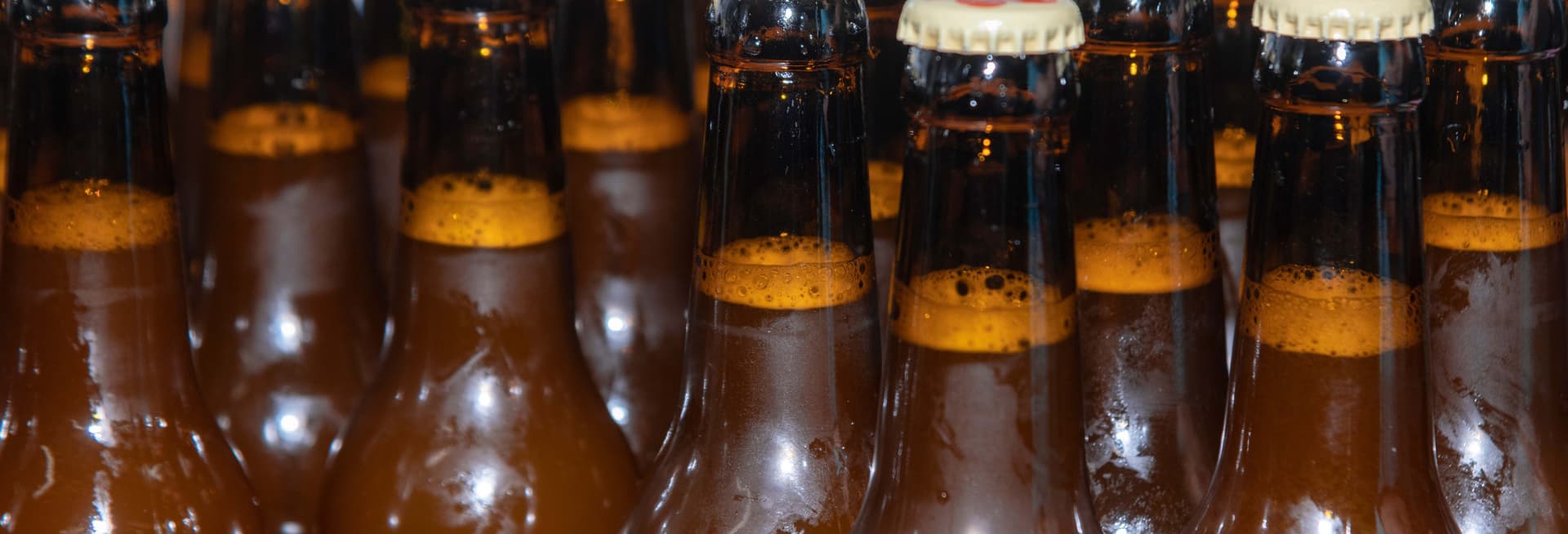 Dégustation de bière artisanale à Peñíscola