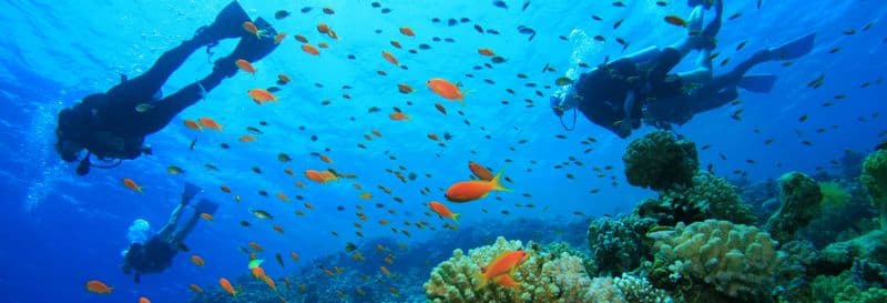Billet Baptême plongée sur la côte de Ciutadella