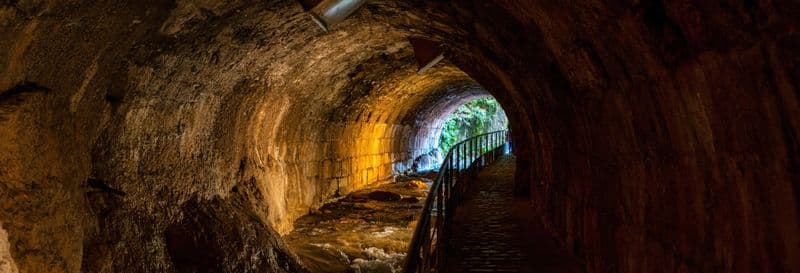 Billet Visite guidée dans Cazorla + Dégustation d'huile d'olive