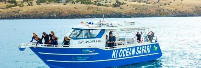 Snorkeling avec des dauphins et des phoques sur l'île Kangourou