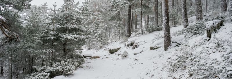 Billet Balade en raquettes à neige dans la Sierra de Guadarrama