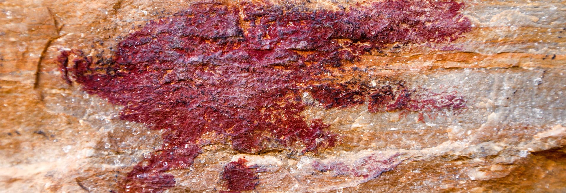 Trek dans le parc de Sumidouro + Grotte de Lapinha