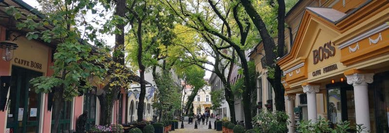 Billet Excursion à Subotica et au lac de Palić