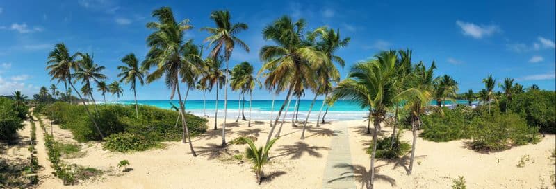 Billet Balade en buggy à Macao + Catamaran sur la plage de Bávaro