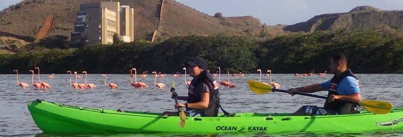 Billet Balade en kayak dans la lagune El Morro