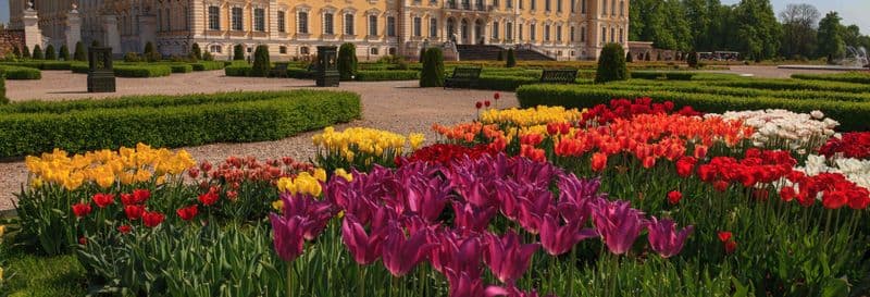 Billet Excursion au château de Rundale