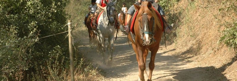 Balade à cheval dans les environs de Llavorsí