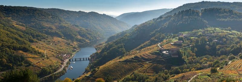 Billet Visite du domaine viticole Vía Romana