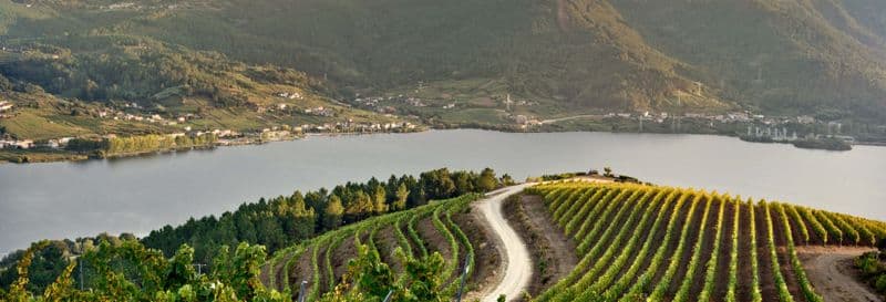 Billet Visite du domaine viticole Viña Costeira