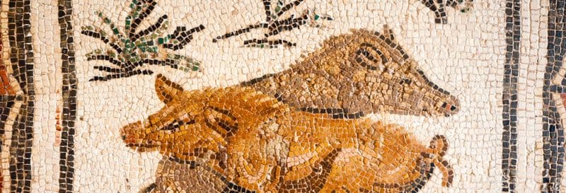 Billet Visite guidée du Musée du Bardo et de la Médina de Tunis