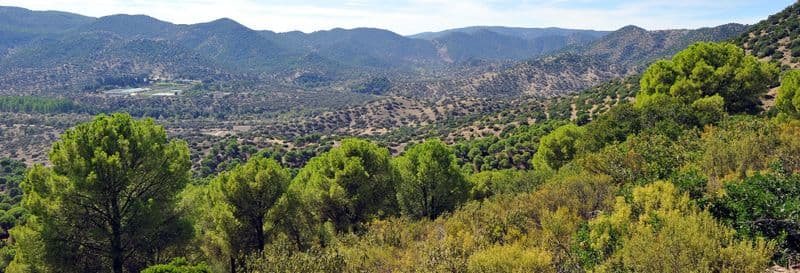 Balade en 4x4 dans la Sierra de Andújar