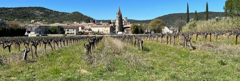 Billet Excursion sur le thème du vin et de la truffe dans la vallée du Rhône