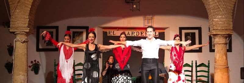 Billet Spectacle de flamenco au tablao El Cardenal