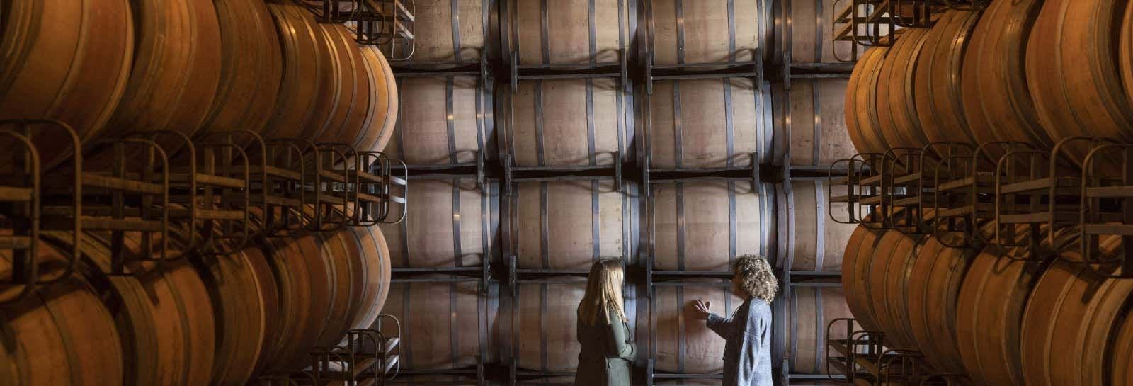 Visite des caves du domaine Marqués de Cáceres