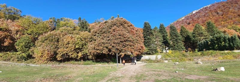 Billet Excursion au Mont Dajt + BunkArt 1