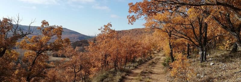 Billet Randonnée à travers Quejigares de Barriopedro et Brihuega