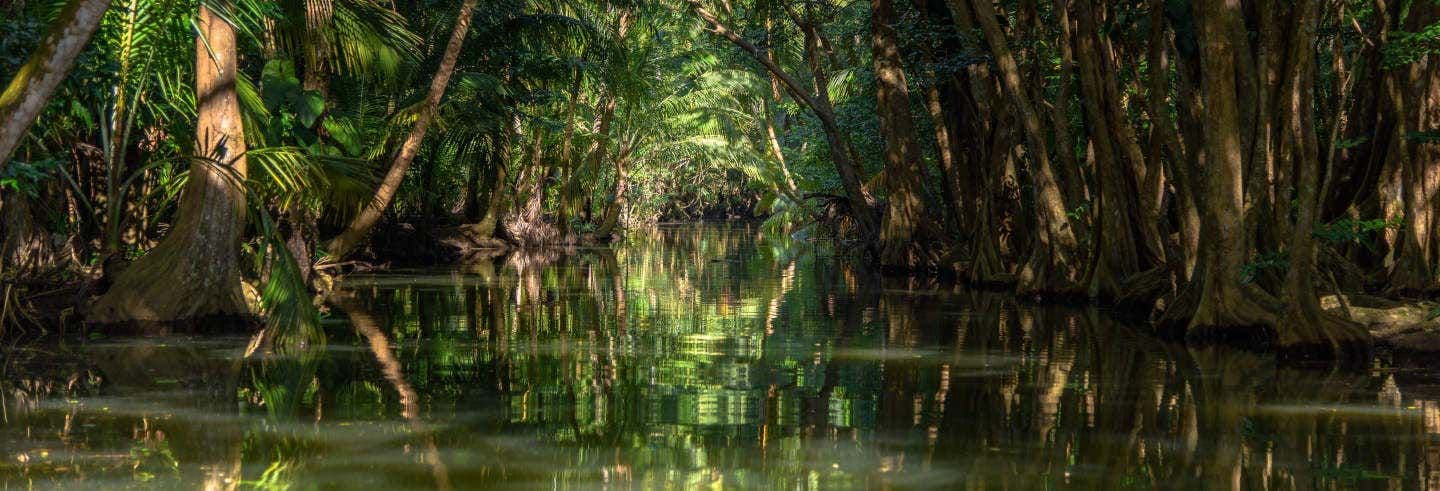 Randonnée à Dublanc + Bateau sur l'Indian River pour croisiéristes