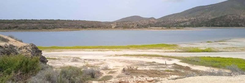 Billet Excursion dans La Asunción et Macanao