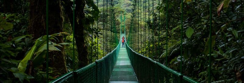 Billet Visite des ponts suspendus de la Forêt nuageuse de Monteverde