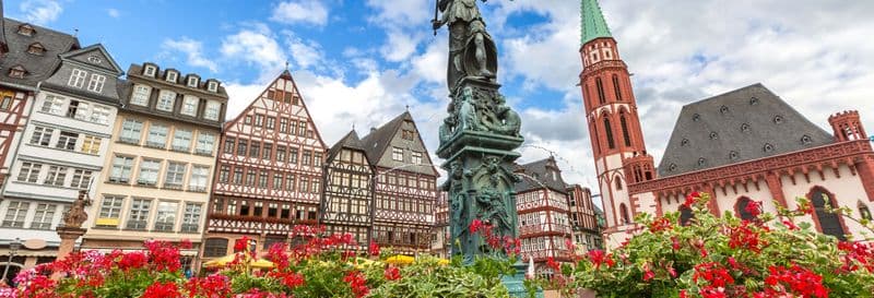 Billet Frankfurt Card