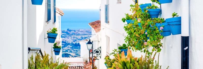 Billet Excursion à Marbella et à Mijas