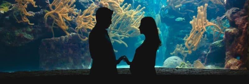 Billet Billet pour l'aquarium de Gênes + Dégustation de glace