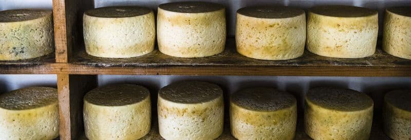 Dégustation de cidre et de fromage à Cuevas del Agua