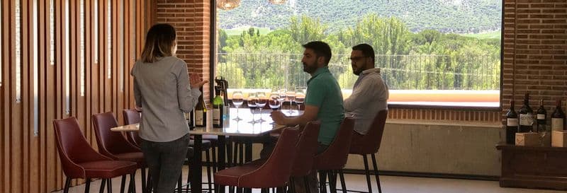 Dégustation de vin, de fromage et d'huile d'olive à la Bodega Matarromera