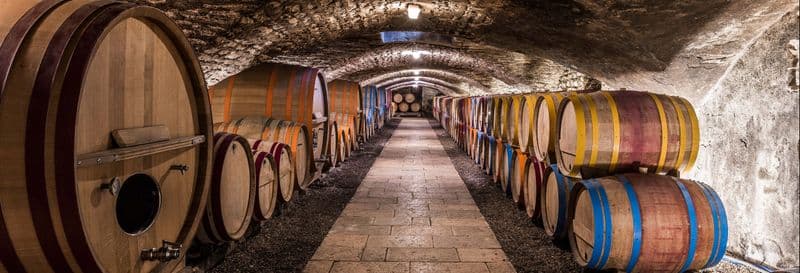 Billet Visite des vignobles et des caves à vin