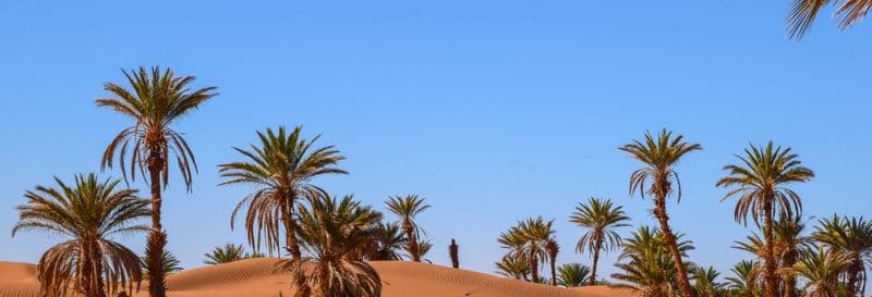 Billet Excursion de 2 jours dans le désert de Zagora