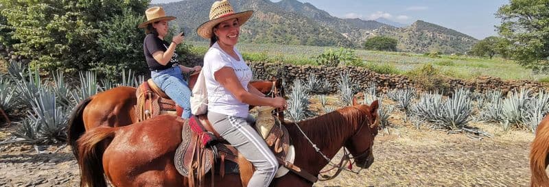 Balade à cheval à Tequila + Visite d'une distillerie avec dégustation