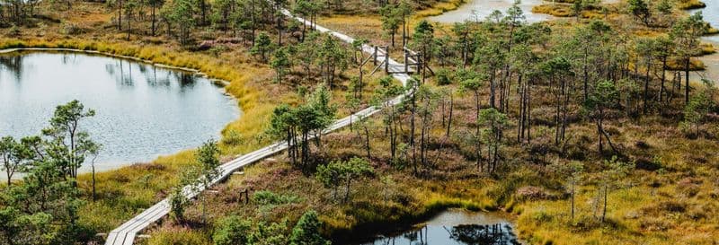 Billet Excursion à Kemeri et au parc national de Jürmala