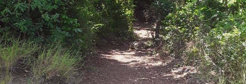 Billet Randonnée à Tacarigua + Déjeuner sur la plage de Zaragoza
