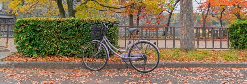 Billet Balade à vélo dans Osaka