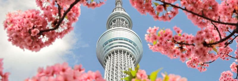 Billet Visite complète de Tokyo