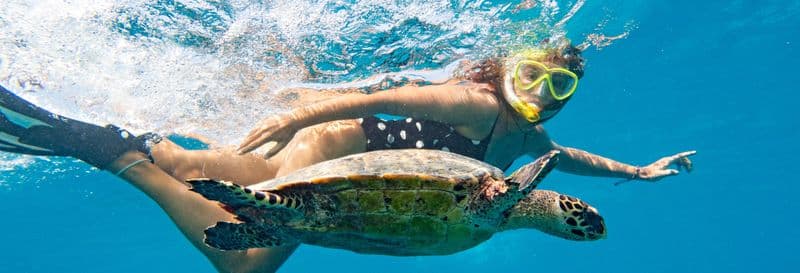 Billet Snorkeling avec les tortues à Mindelo