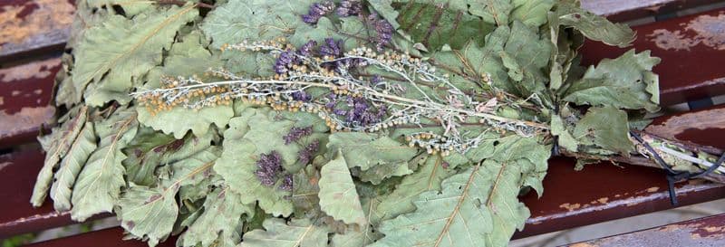 Billet Expérience privée dans un sauna dans les forêts de Vilnius
