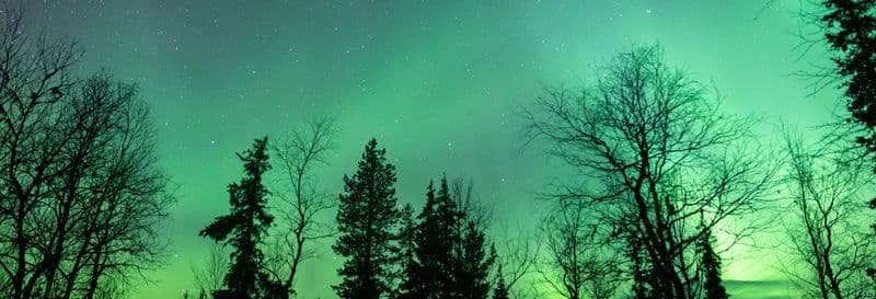 Billet Rovaniemi : Excursion à la découverte des aurores boréales