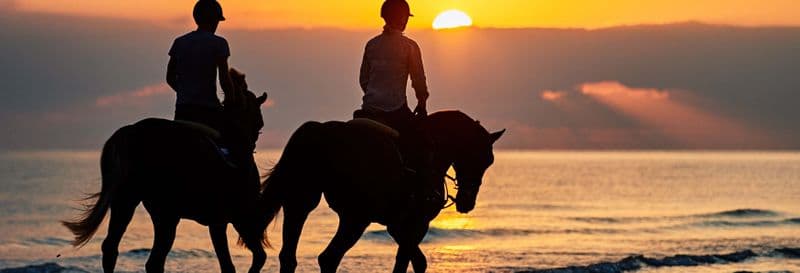 Balade à cheval au coucher de soleil à Doñana