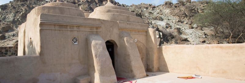 Billet Excursion sur la côte est des Émirats arabes unis