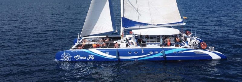 Billet Balade d'une demie-journée en catamaran à Cambrils