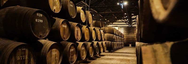 Billet Dégustation de vins + Visite d'une cave